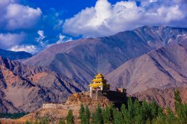 kashmir-ladakh-priya-travels.jpg